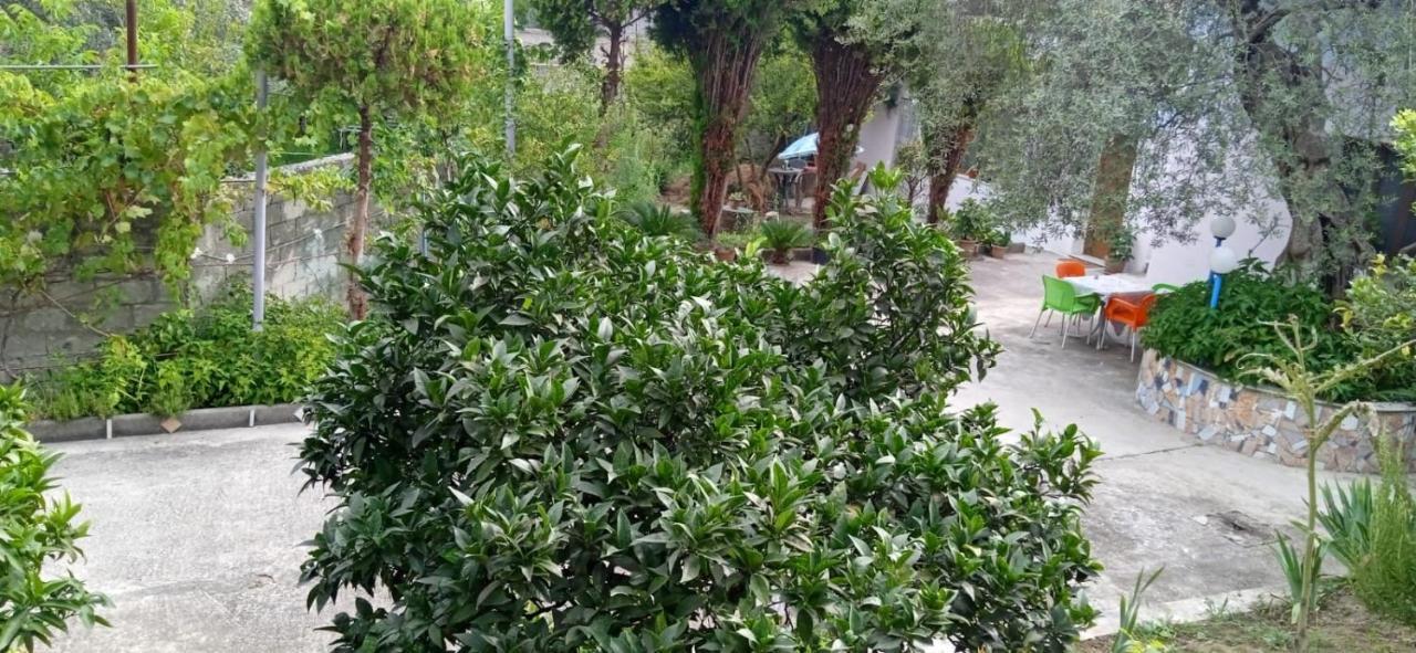 Green Oasis Holiday Home Vlorë Εξωτερικό φωτογραφία