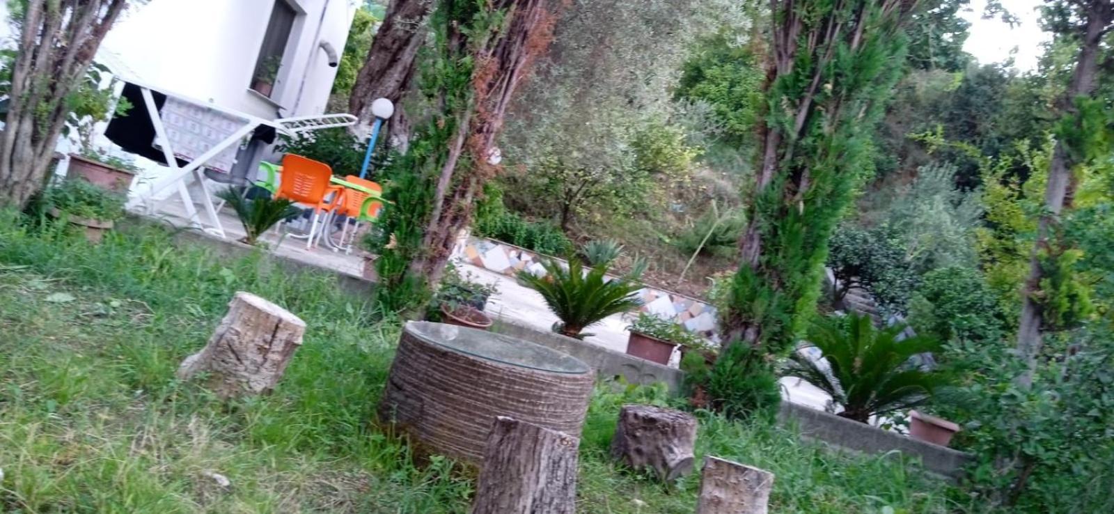 Green Oasis Holiday Home Vlorë Εξωτερικό φωτογραφία